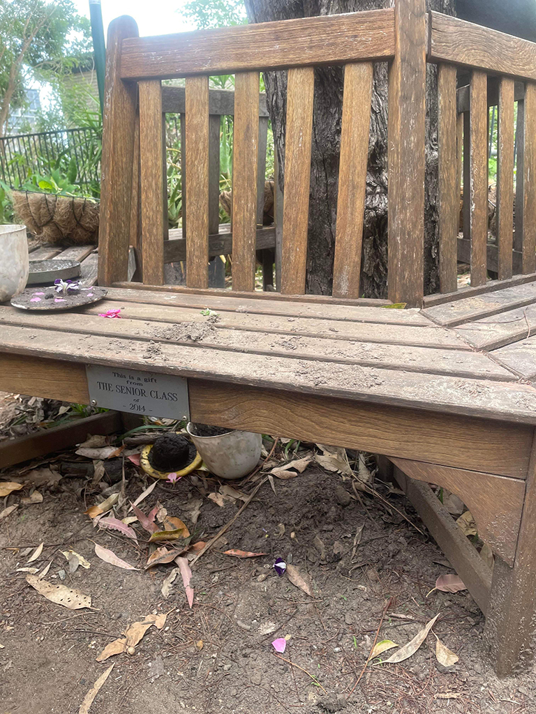 2014 Year 6 cohort departing gift: hexagonal bench in playground