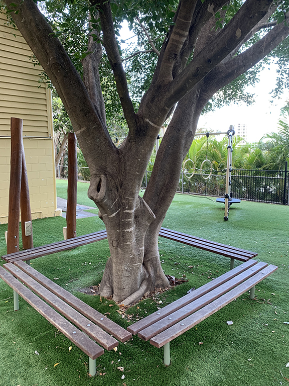 2016 Year 6 cohort departing gift: four wooden benches in playground