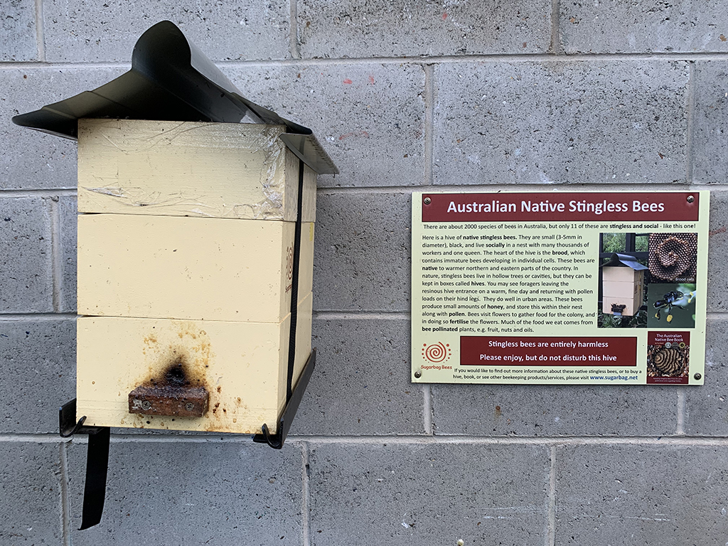2017 Year 6 cohort departing gift: Native Bee Hive